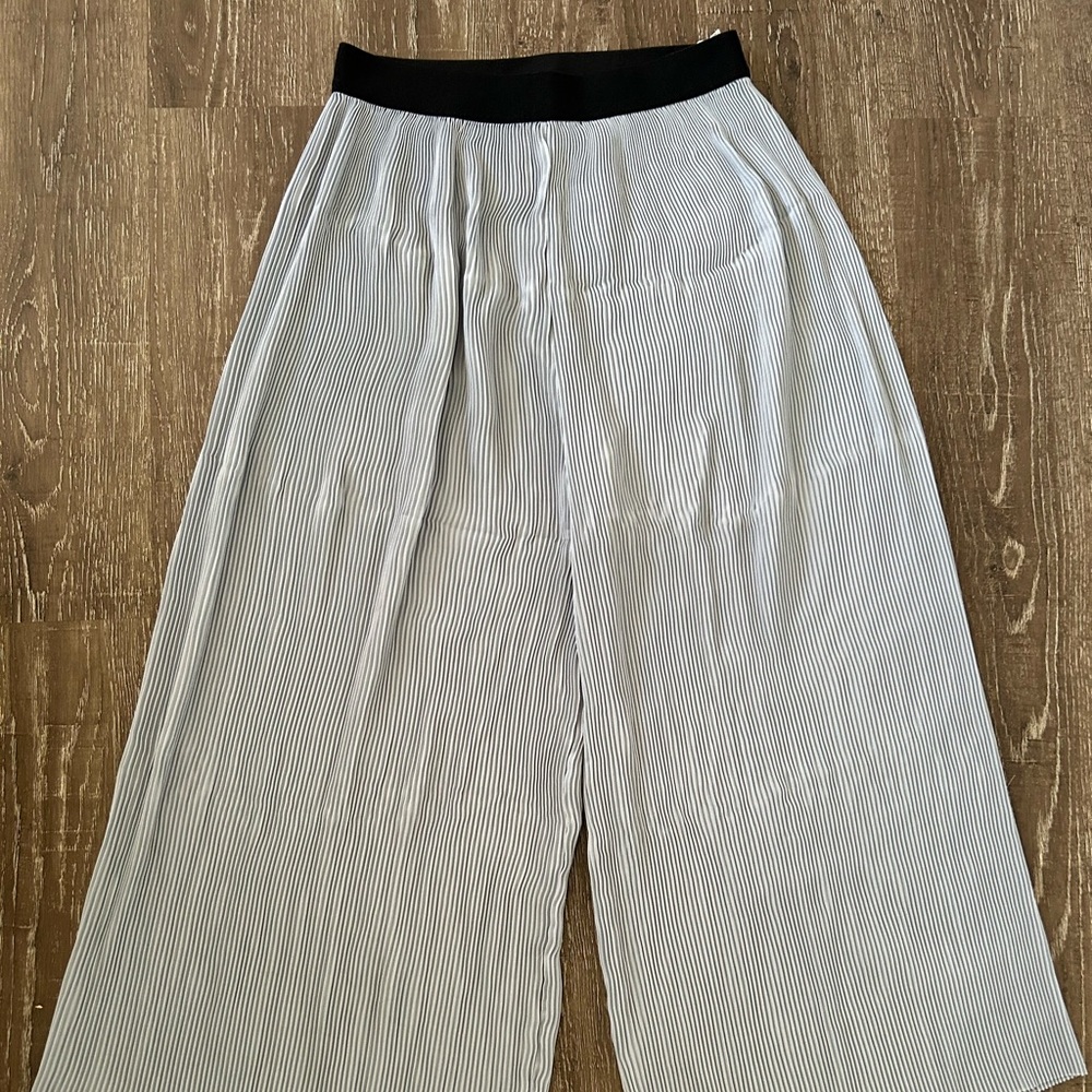 ZARA Pleated Flare Pants
